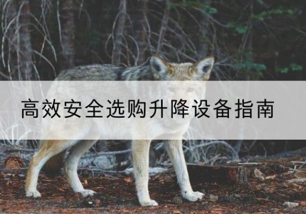 于洪升降货梯厂家推荐-*安全选购升降设备指南