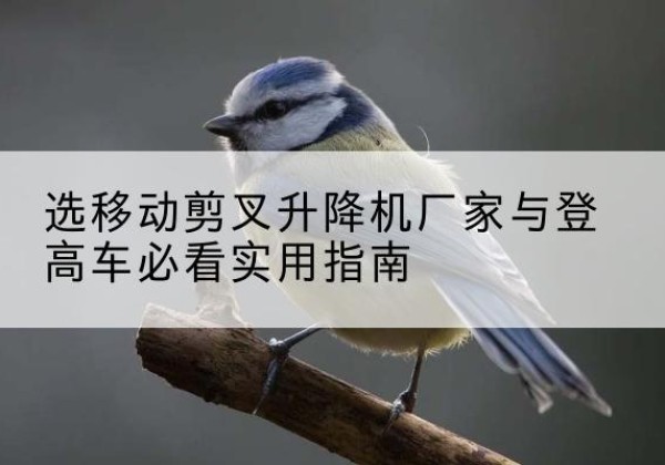 于洪电动升降机厂家-选移动剪叉升降机厂家与登高车必看实用指南